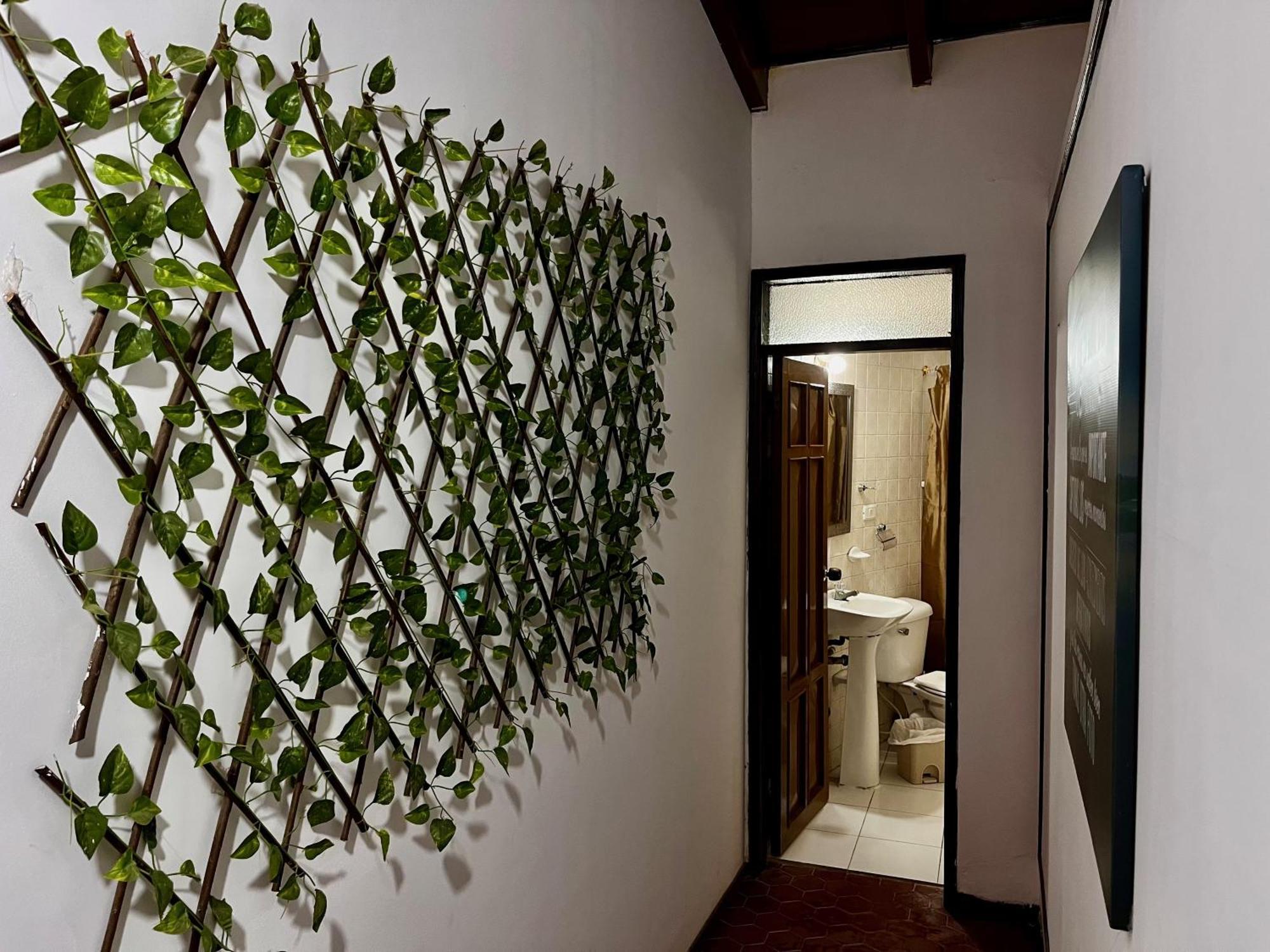 The Chill In Mansion Hostel Santa Marta Εξωτερικό φωτογραφία