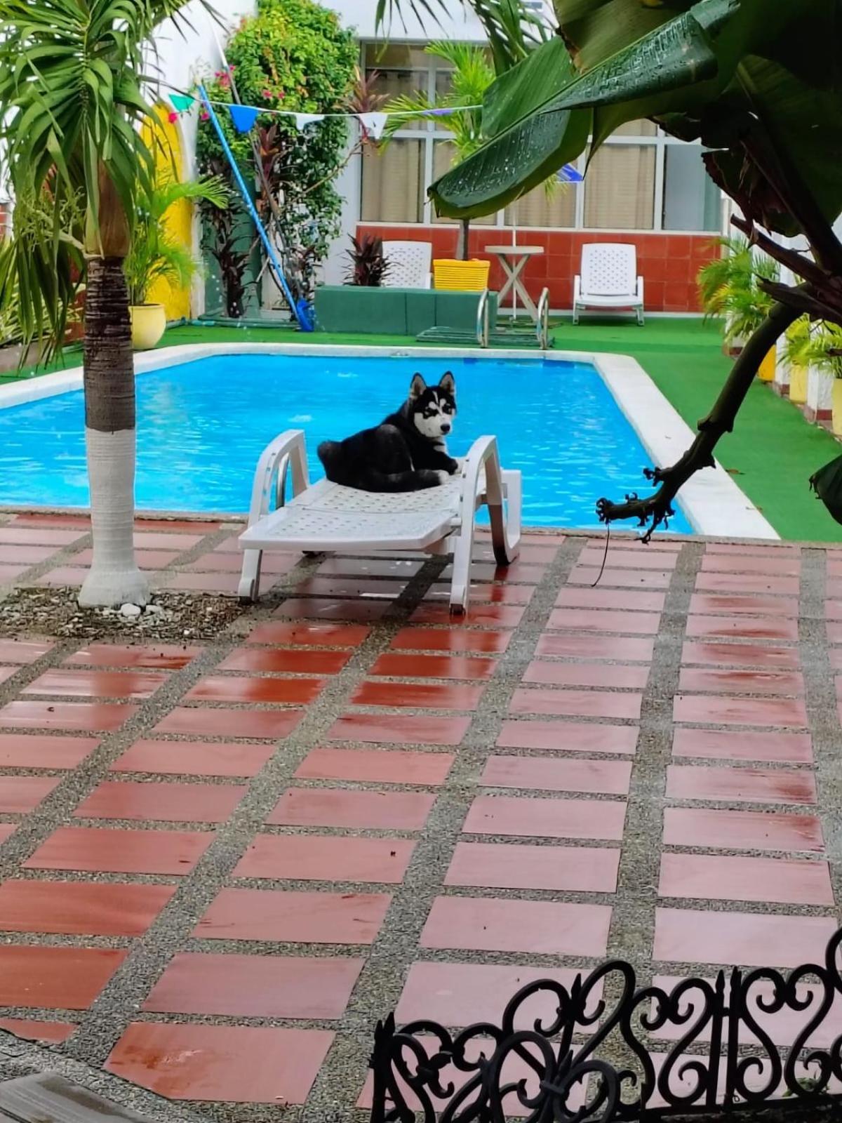 The Chill In Mansion Hostel Santa Marta Εξωτερικό φωτογραφία
